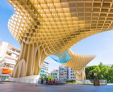 Discover Wood’s Struture From NAH Park, Germany